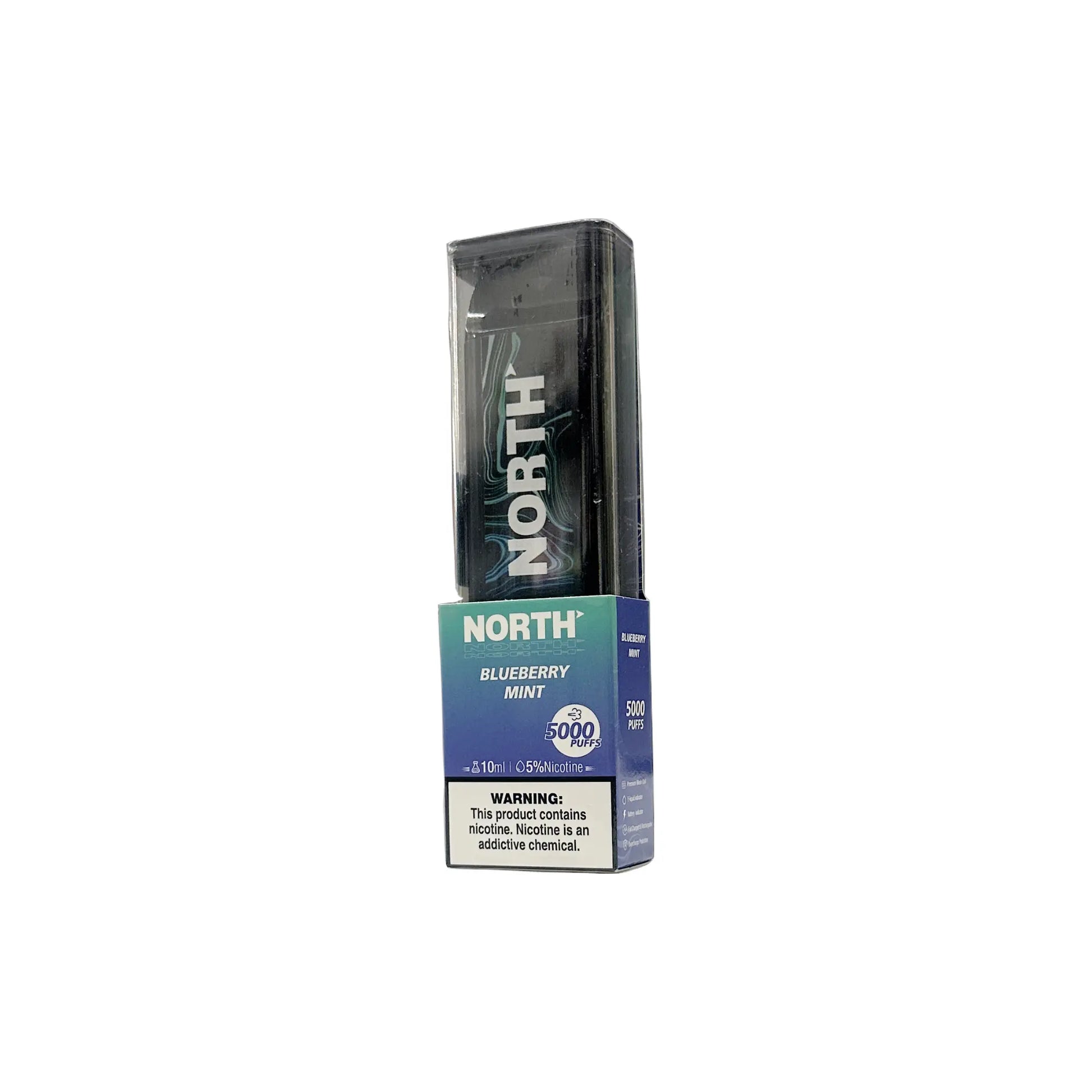 Blueberry Mint North Disposable Vape 5000 Puffs