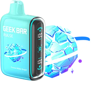 Geek Bar Pulse 15000 - VSZN